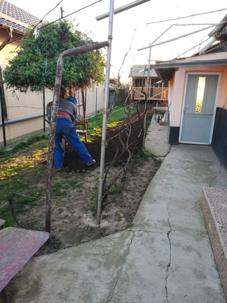  - 2020-Crescatorie Pui