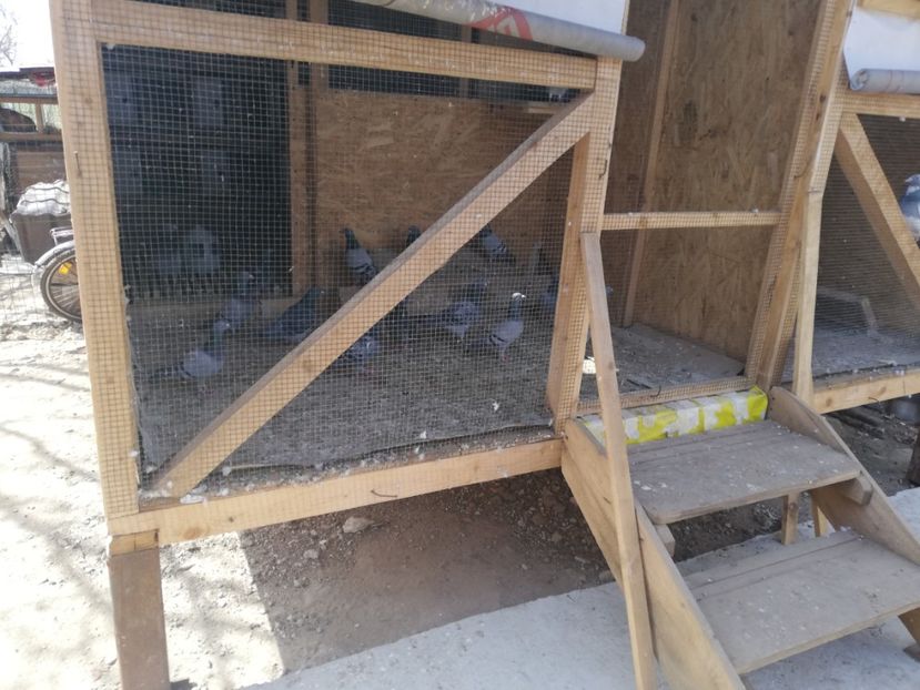  - 2020-28martie-Reproductie