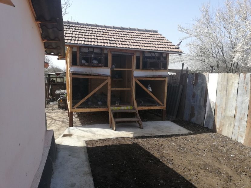  - 2020-Crescatorie Pui