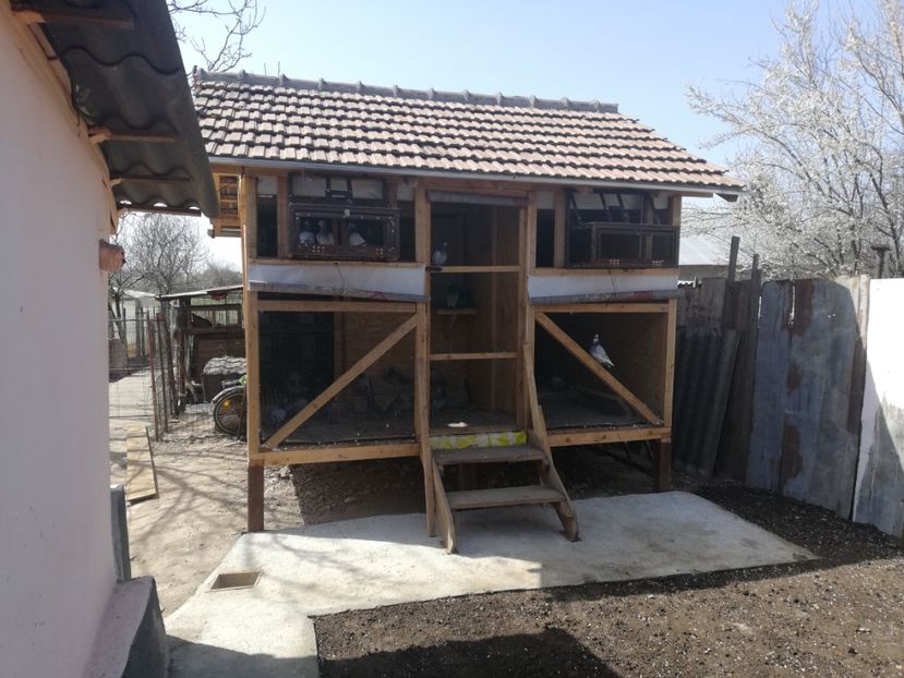  - 2020-Crescatorie Pui