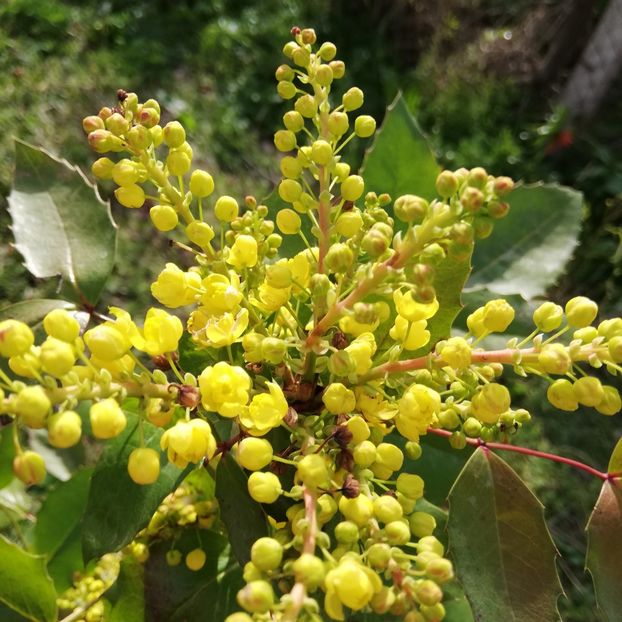  - 0 0-2020-2023 curtea cu toate cele!