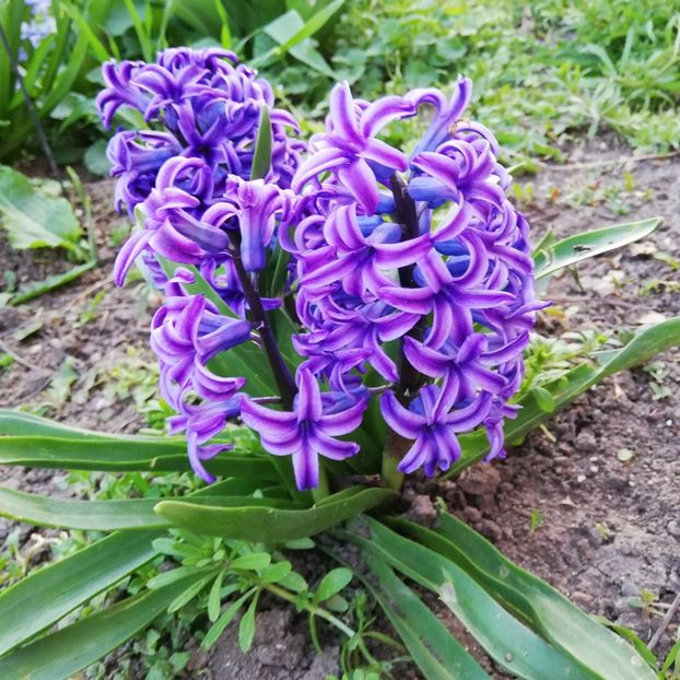  - 0 0-2020-2023 curtea cu toate cele!