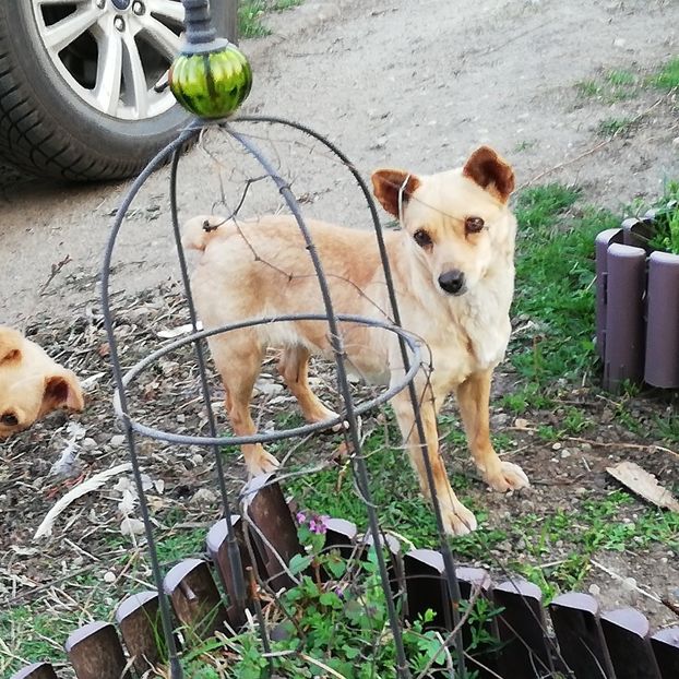  - 0 0-2020-2023 curtea cu toate cele!