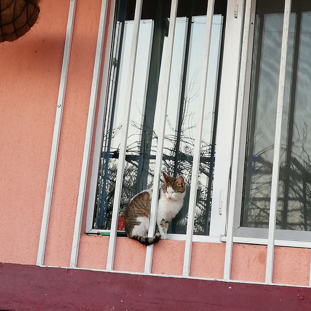  - 0 0-2020-2023 curtea cu toate cele!