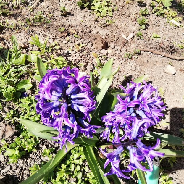  - 0 0-2020-2023 curtea cu toate cele!