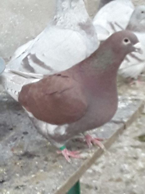 20200327_172357 (1) - CONTACT