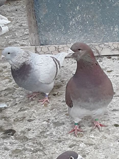 20200327_172410 (1) - CONTACT