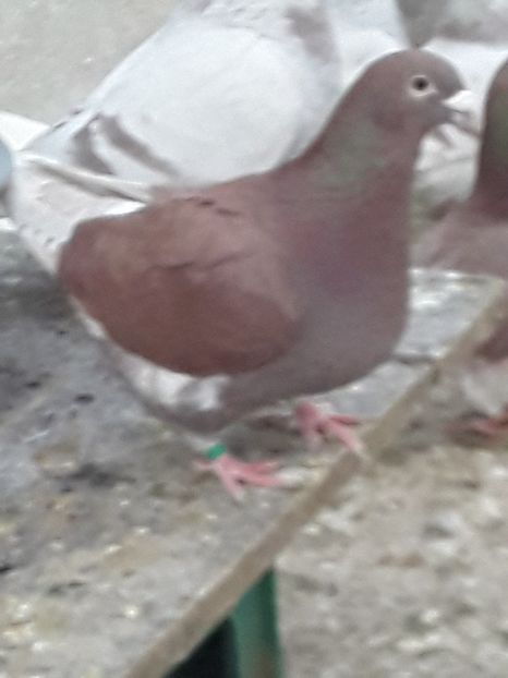 20200327_172355(0) (1) - CONTACT