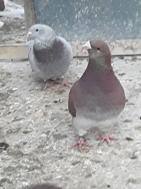 20200327_172407 (1) - CONTACT