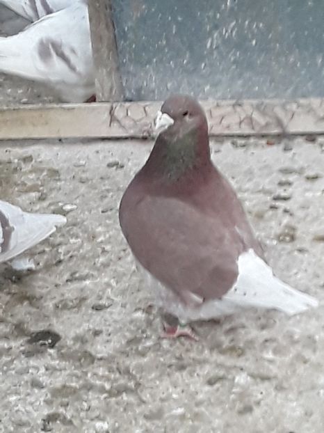 20200327_172426(0) (1) - CONTACT