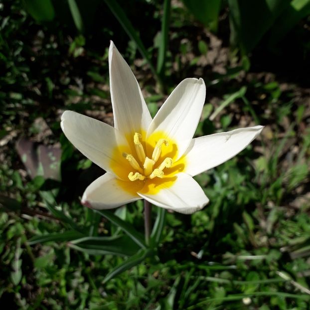  - AAAA_LALELE 2019_2020_2022_2023