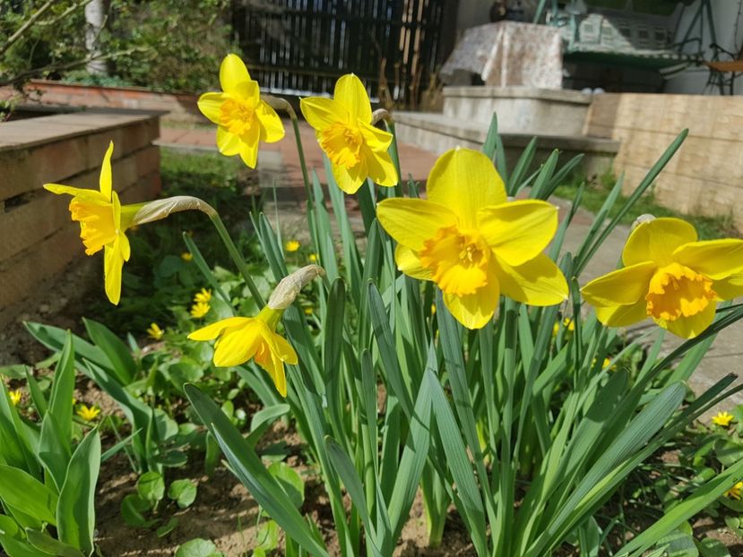 Fortune - 2020 Martie