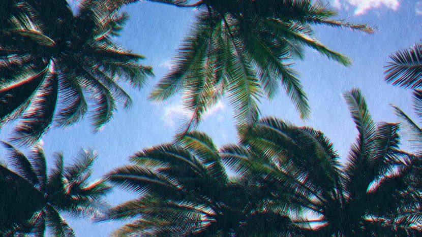 【﻿ｎｕｍｂｅｒ 6 】 - Rain is just confetti from the sky