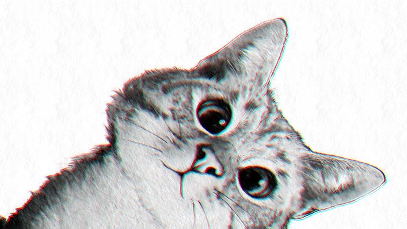 【﻿ｎｕｍｂｅｒ 8 】 - Rain is just confetti from the sky