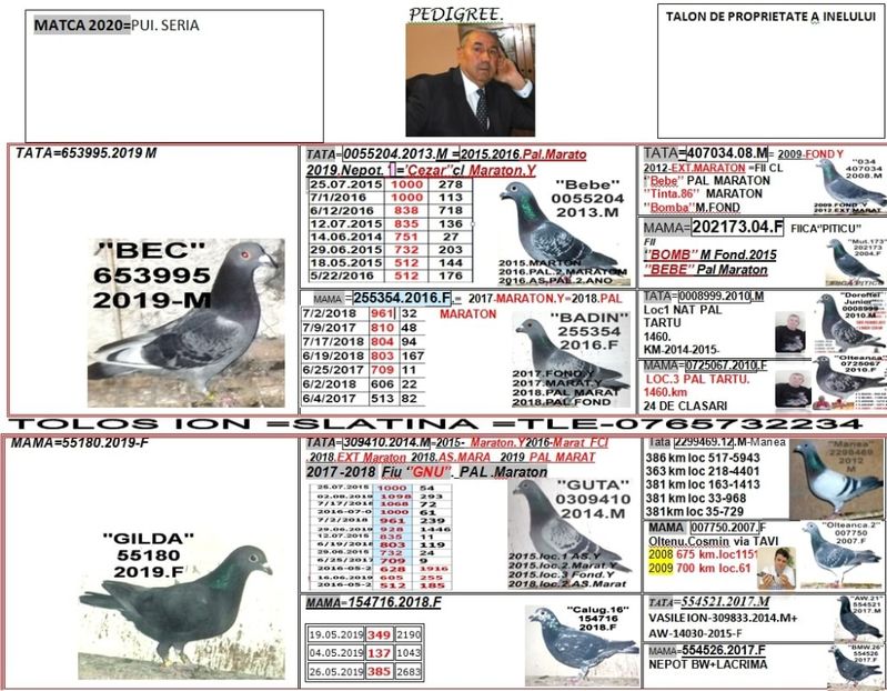 2019-653995-BEC+55180 GILDA - 2 MATCA 2020