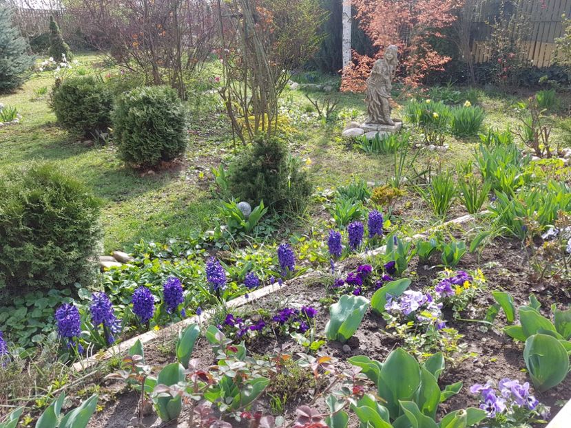 Zambile Marie - 2020 Zambile