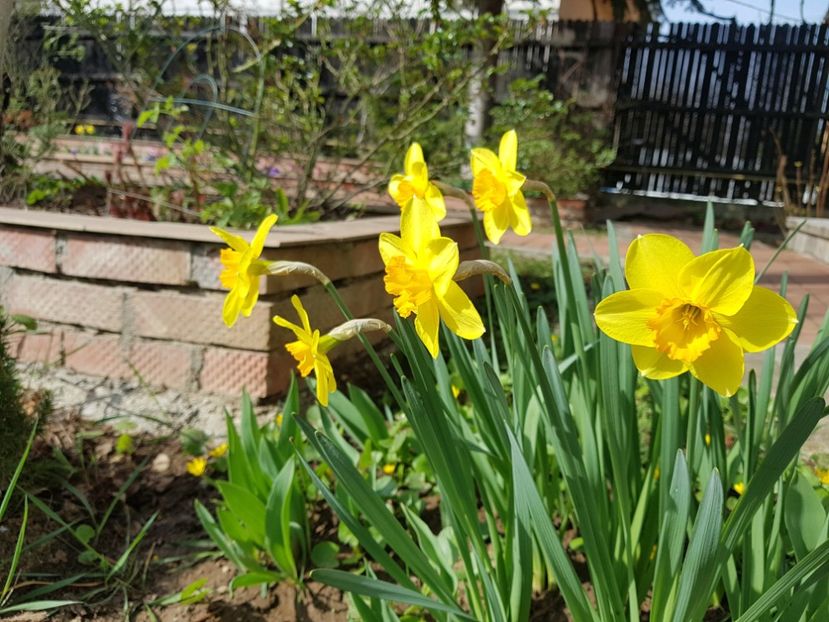 Fortune - 2020 Martie