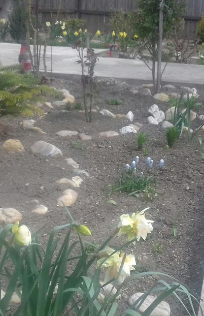 20200329_132907-1 - Primăvara 2020
