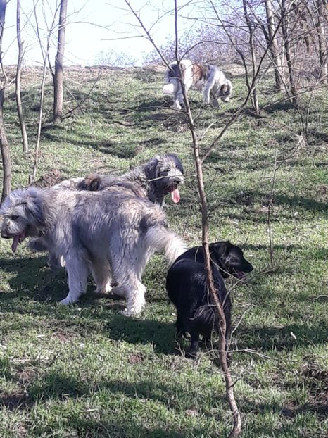  - Prietenii mei cei mai buni