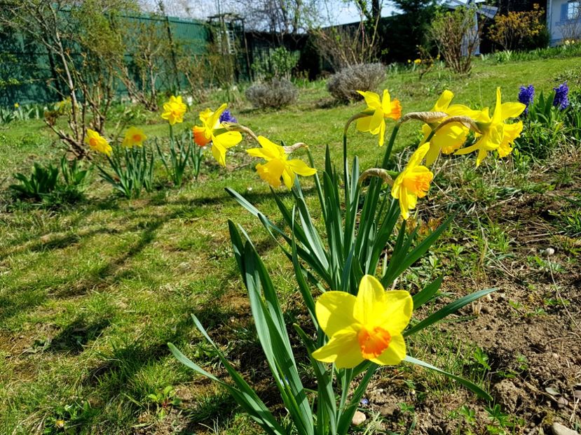  - 2020 Mart-Apr_Idilic garden