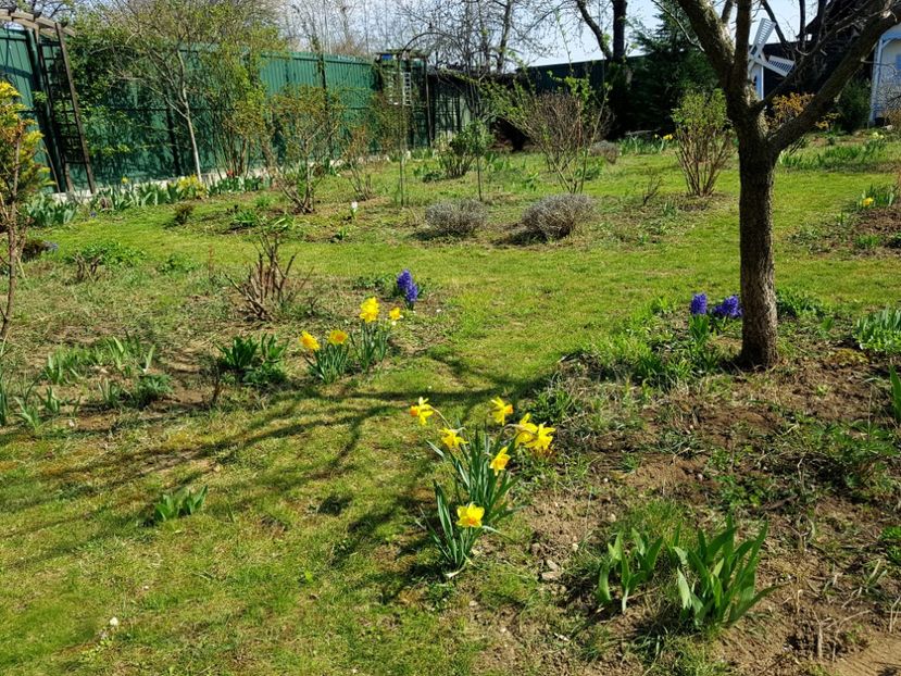  - 2020 Mart-Apr_Idilic garden