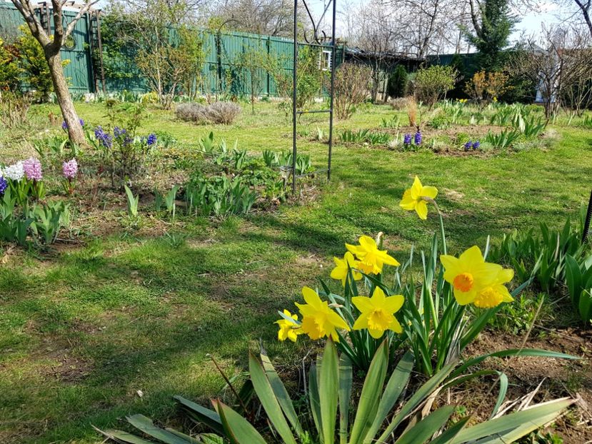  - 2020 Mart-Apr_Idilic garden