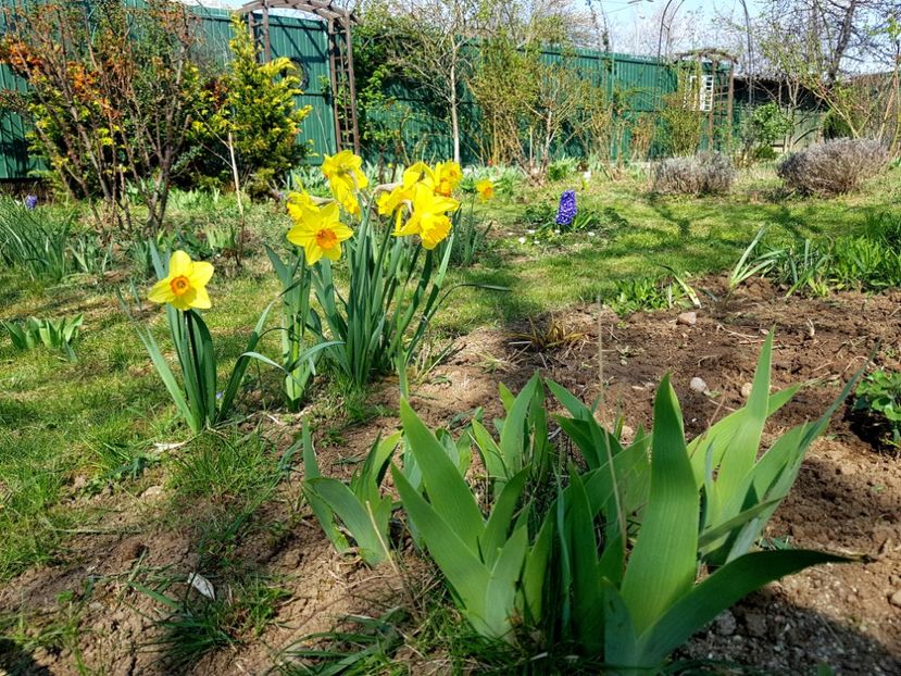  - 2020 Mart-Apr_Idilic garden