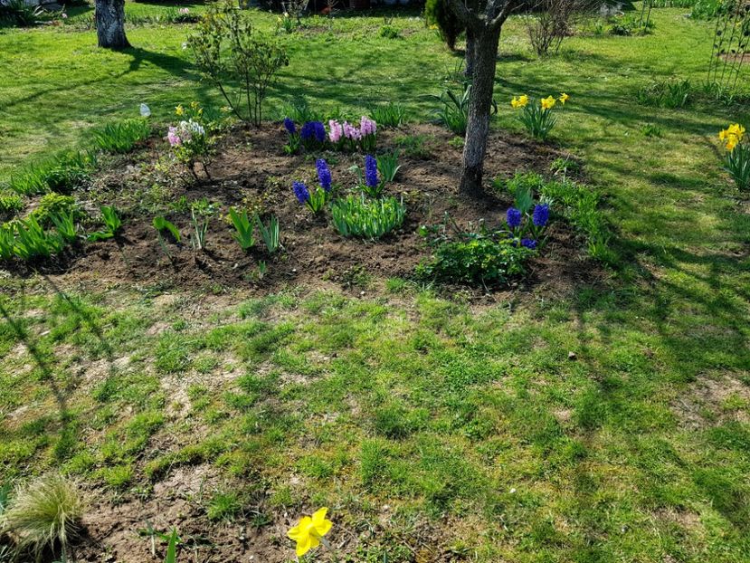  - 2020 Mart-Apr_Idilic garden