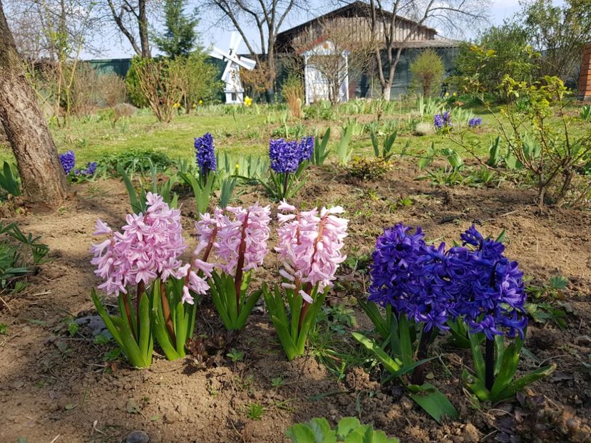  - 2020 Mart-Apr_Idilic garden