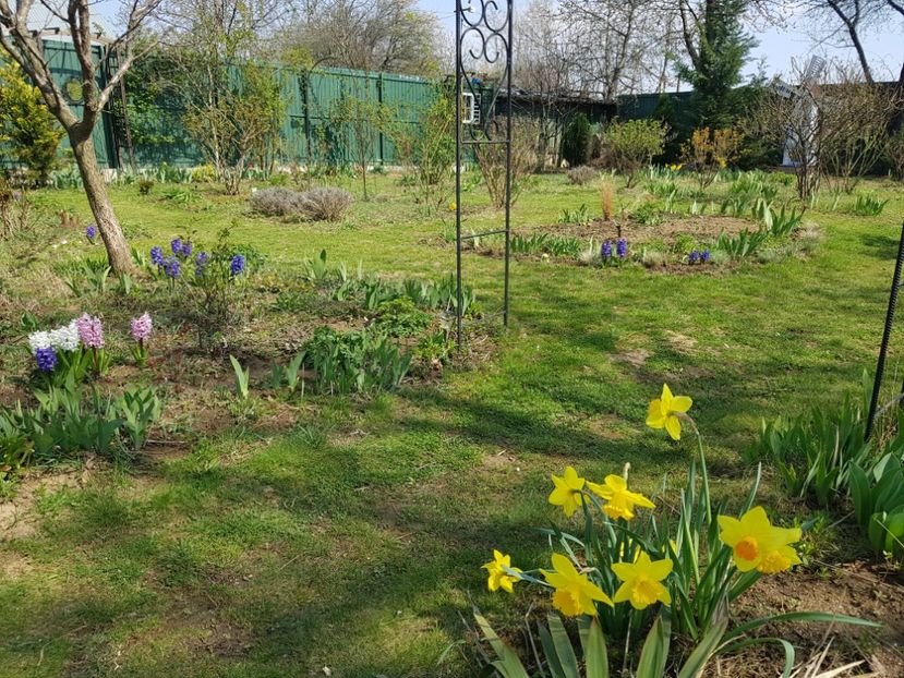  - 2020 Mart-Apr_Idilic garden