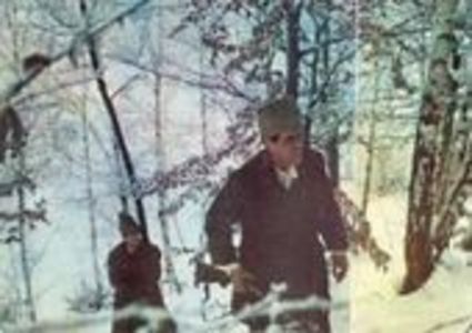 Vanatoarea De Vulpi - Vanatoarea De Vulpi 1980