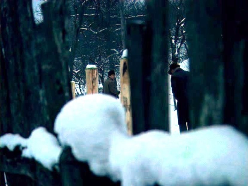 Vanatoarea De Vulpi - Vanatoarea De Vulpi 1980