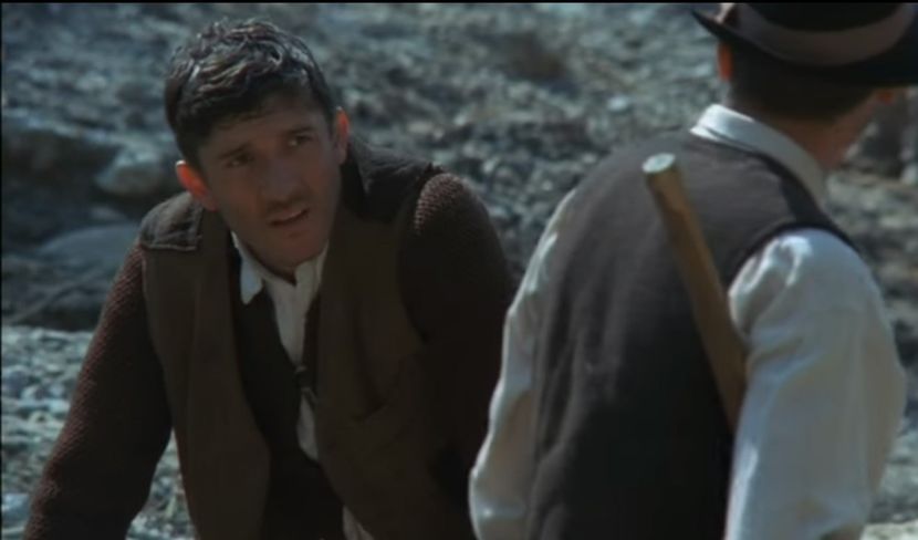 Vanatoarea De Vulpi - Vanatoarea De Vulpi 1980