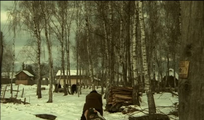 Vanatoarea De Vulpi - Vanatoarea De Vulpi 1980