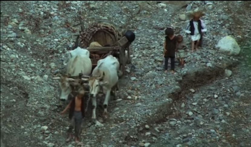 Vanatoarea De Vulpi - Vanatoarea De Vulpi 1980