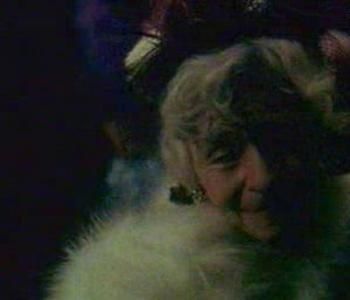 Liliacul Infloreste A Doua Oara - Liliacul Infloreste A Doua Oara 1988