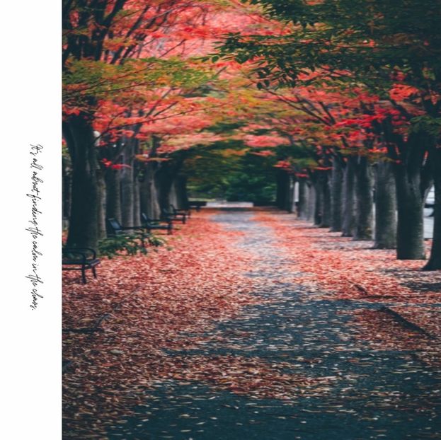 GlimmeringChampagneMag - own your own story