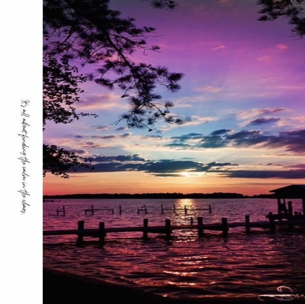 speechless - own your own story