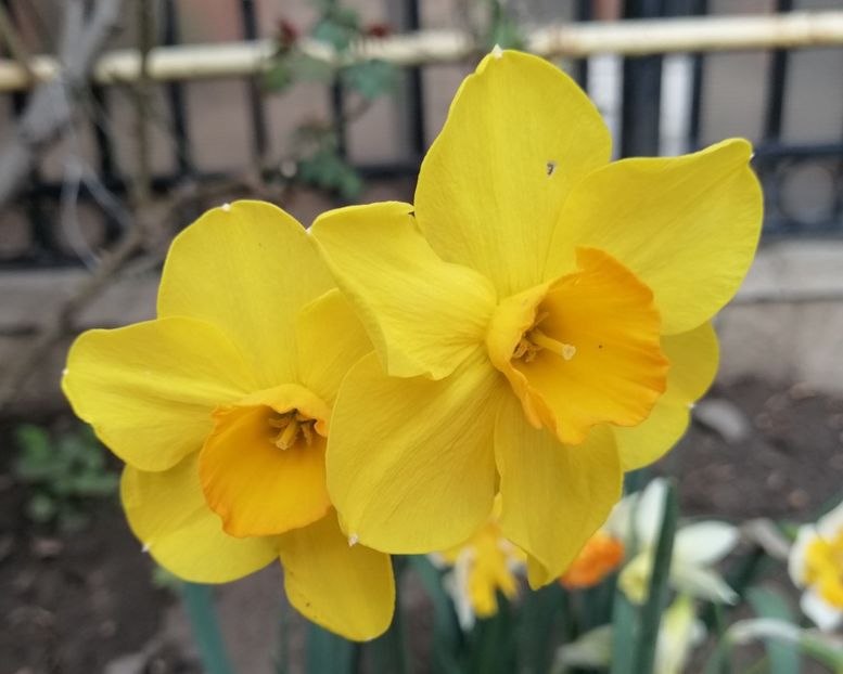  - 2020 Ian feb martie aprilie