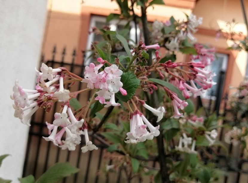  - 2020 Ian feb martie aprilie