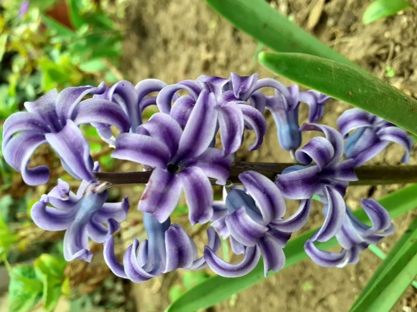 IMG-20200330-WA0052 - 2020