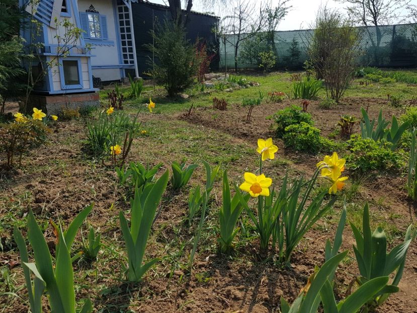  - 2020 Mart-Apr_Idilic garden