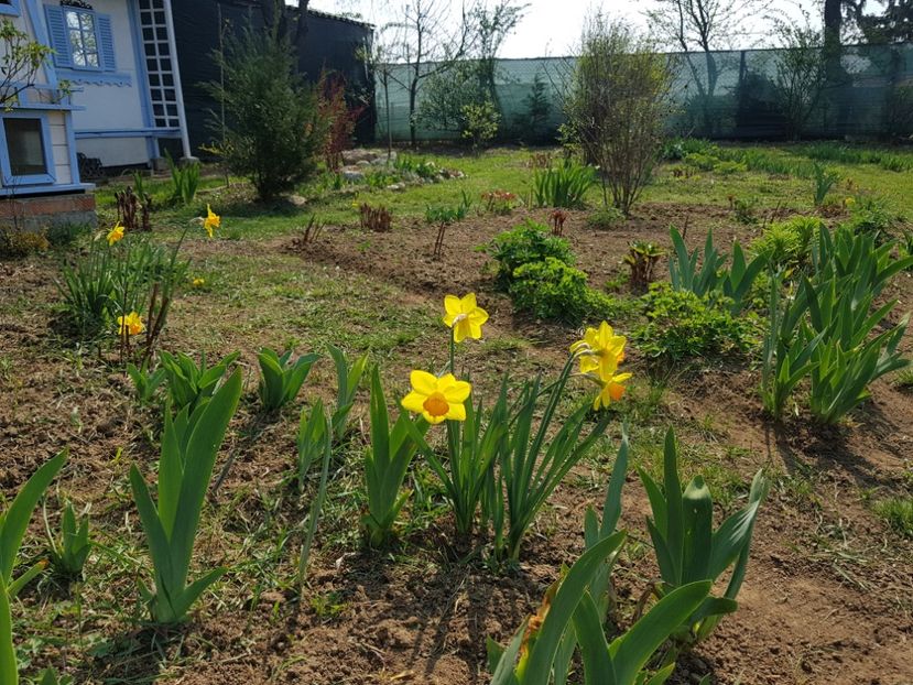  - 2020 Mart-Apr_Idilic garden