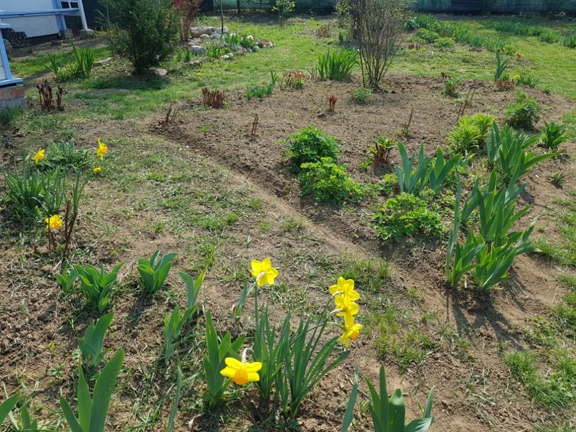  - 2020 Mart-Apr_Idilic garden