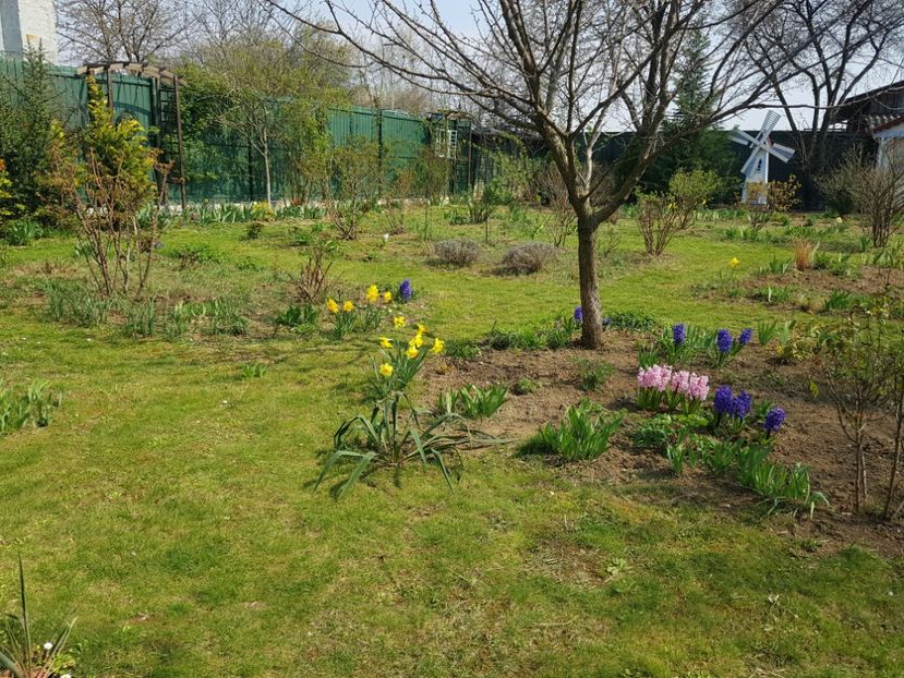  - 2020 Mart-Apr_Idilic garden