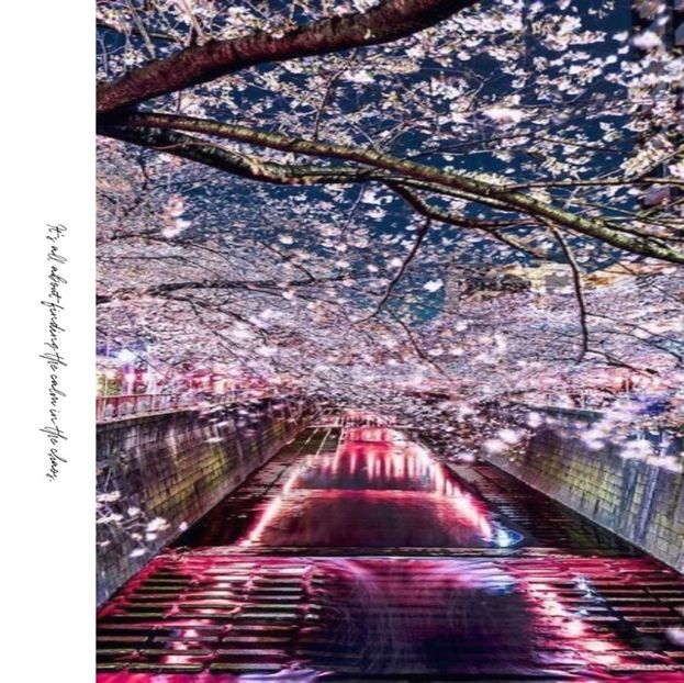 ExhaleTheBullshit - own your own story