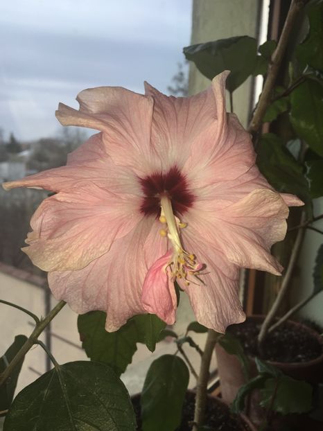 FF55B126-DE2B-4E28-83F8-36F3A7A34938 - 2020