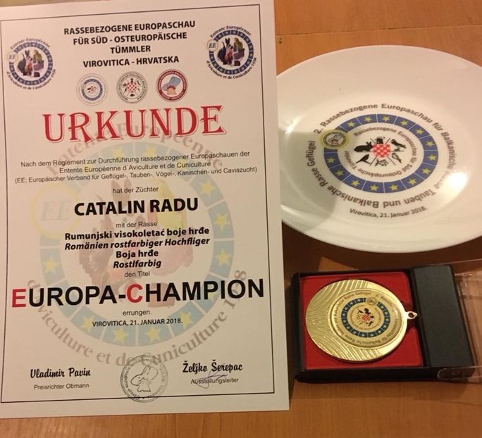 9F03BD48-6473-4199-A0A4-A1E569C87729 - 7 EXPOZITIA EUROPEANA EE VIROVITICA Croatia 2018