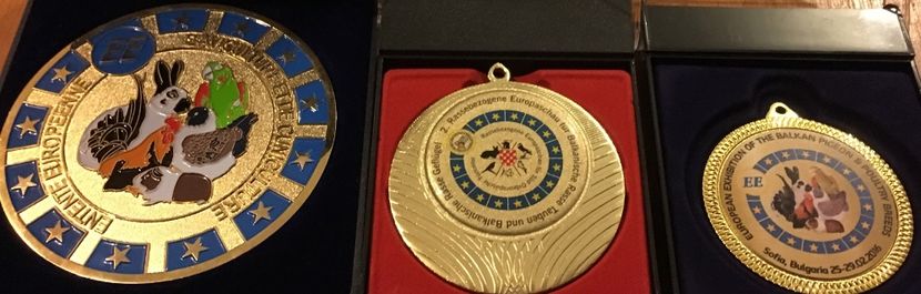 A404640D-58B2-4F76-839E-3A06BAE8FE51 - - EXPOZITII