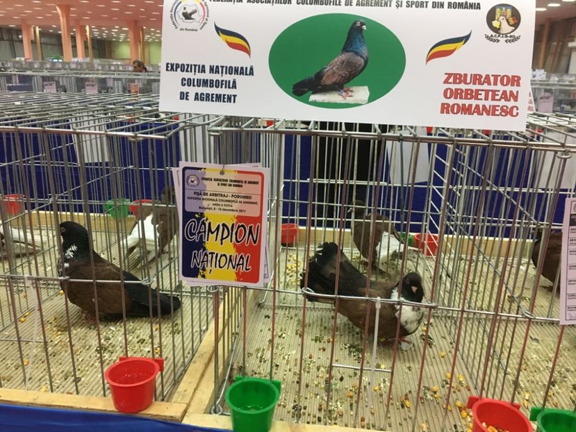 0DAFC602-61F6-4221-B0B0-26AE1E10A0F8 - 5 NATIONALA ROMANIEI BUCURESTI 2017